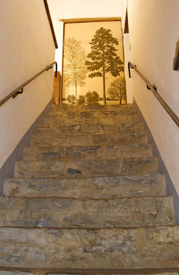 Agriturismo Santa Caterina 切奇纳谷新堡 客房 照片